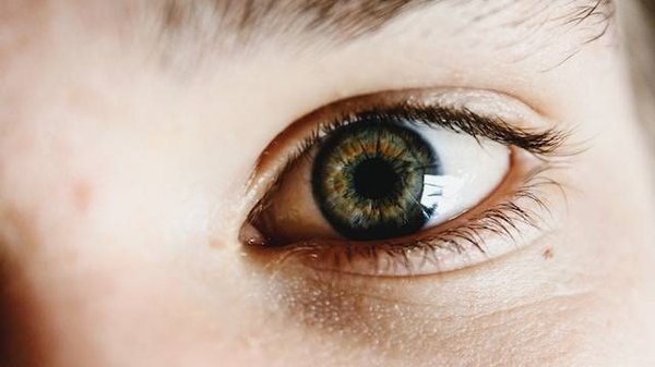 Où Trouver des Conseils d'Optique : Le Guide Complet !